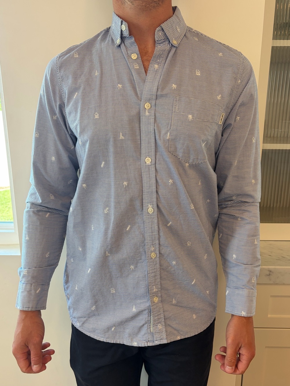 Carhartt Light Blue Striped Button-Down Shirt with White Embroidery size Large